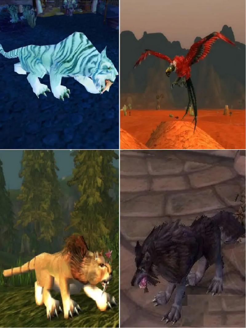 魔兽世界猎人宝宝大全：稀有宠物收集指南，助你成为顶级猎人