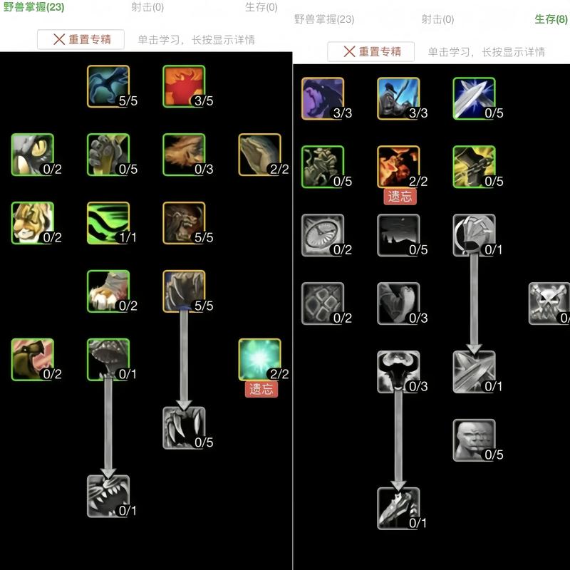 最强魔兽猎人天赋搭配：提升输出生存能力的秘诀