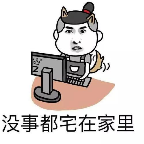 我的2020：宅家一年的收获与遗憾总结