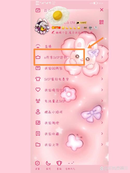 超级QQ特权是什么？好用吗？带你了解所有特权功能！