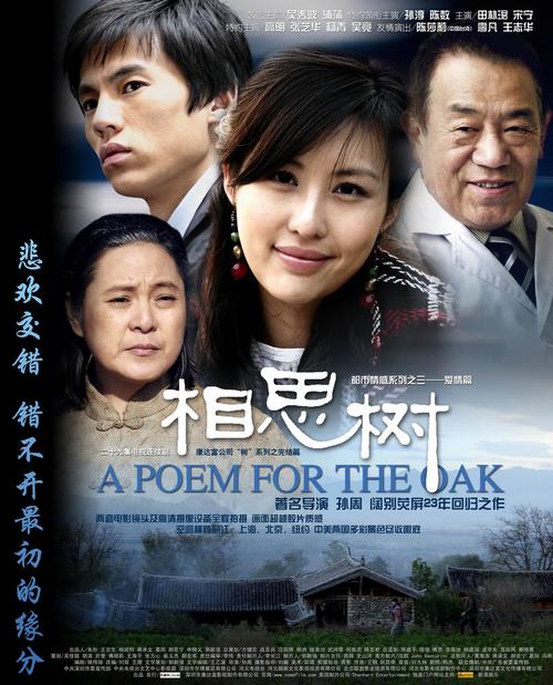 相思树演员表大揭秘：主演阵容及角色介绍