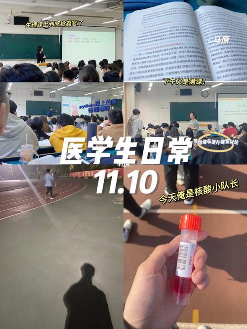 医博士网：海量医学课程资源，助您轻松考取医学证书