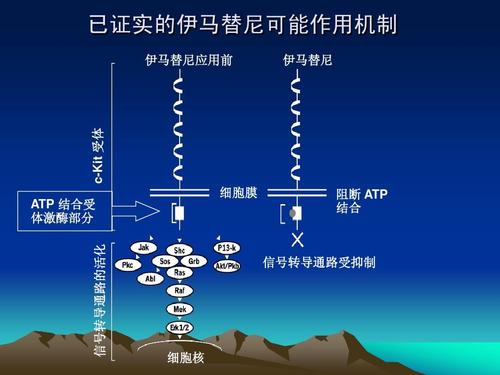 Elo机制是什么？它如何影响你的游戏体验