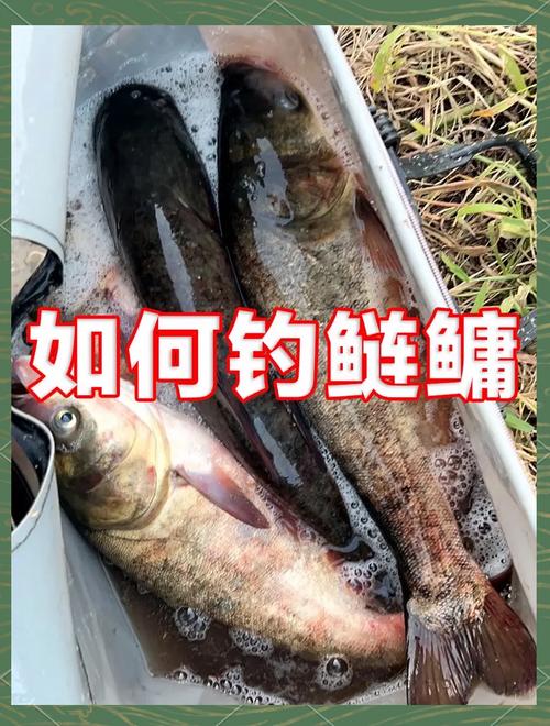 神武钓鱼技巧全攻略，各种鱼类轻松钓回家！