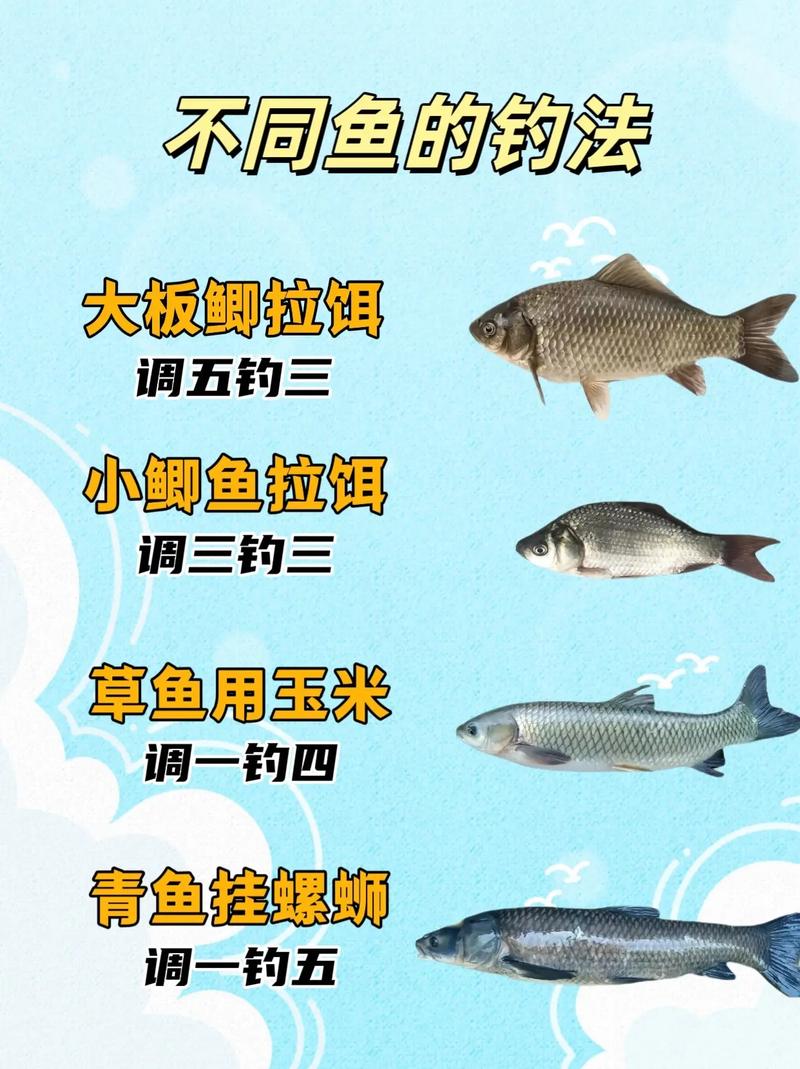 神武钓鱼技巧全攻略，各种鱼类轻松钓回家！