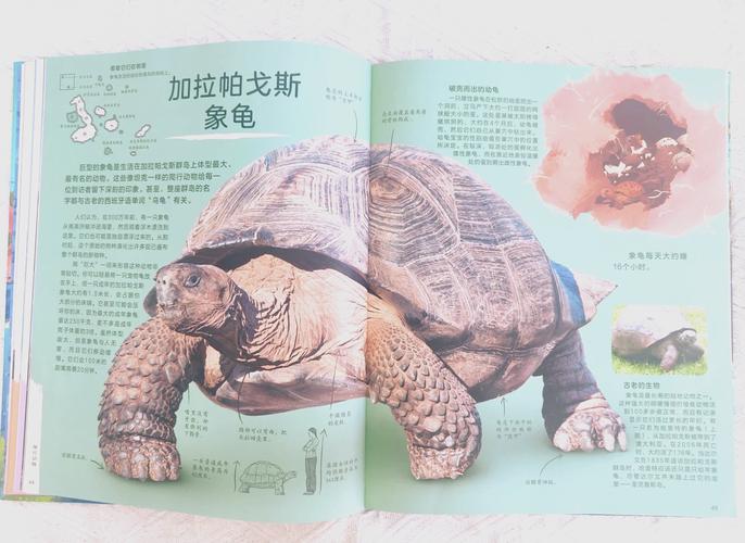 达尔文进化岛有什么？揭秘这座岛屿独特的生物！