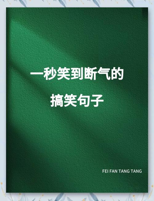 风一样的坑爹哥是谁？他的搞笑瞬间笑翻网友！
