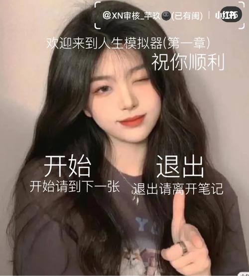 人生重开模拟器网页版进不去？试试这个方法！