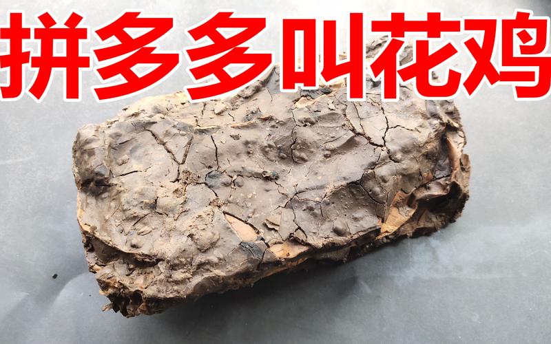 黑泥草和普通泥土有啥区别？一篇文章看明白！