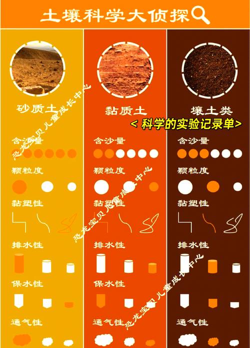 黑泥草和普通泥土有啥区别？一篇文章看明白！