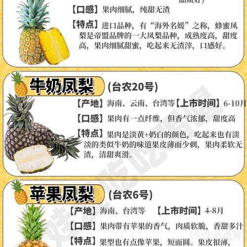 大菠萝3职业选哪个好？平民玩家推荐这几个！
