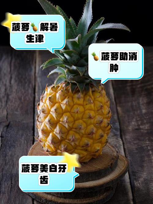 大菠萝3职业选哪个好？平民玩家推荐这几个！