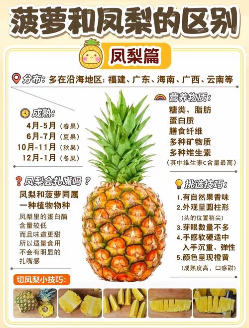 大菠萝3职业选哪个好？平民玩家推荐这几个！