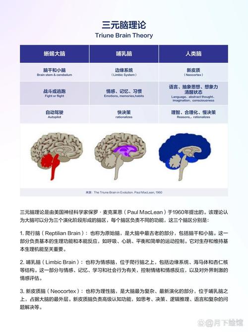 想了解活体脑细胞？这篇文章让你秒变专家！