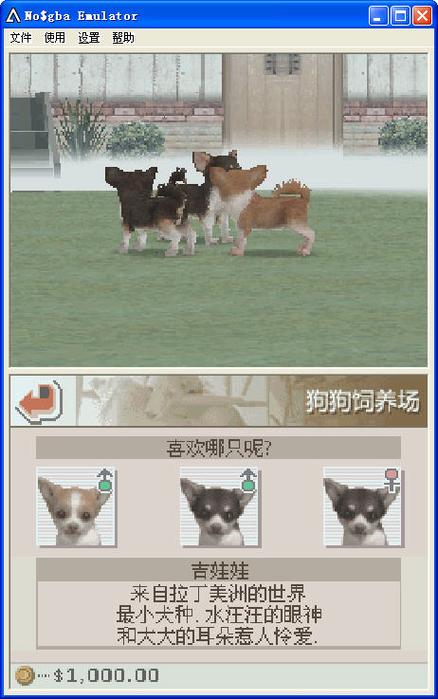 任天狗游戏详解：玩法攻略及宠物养成技巧