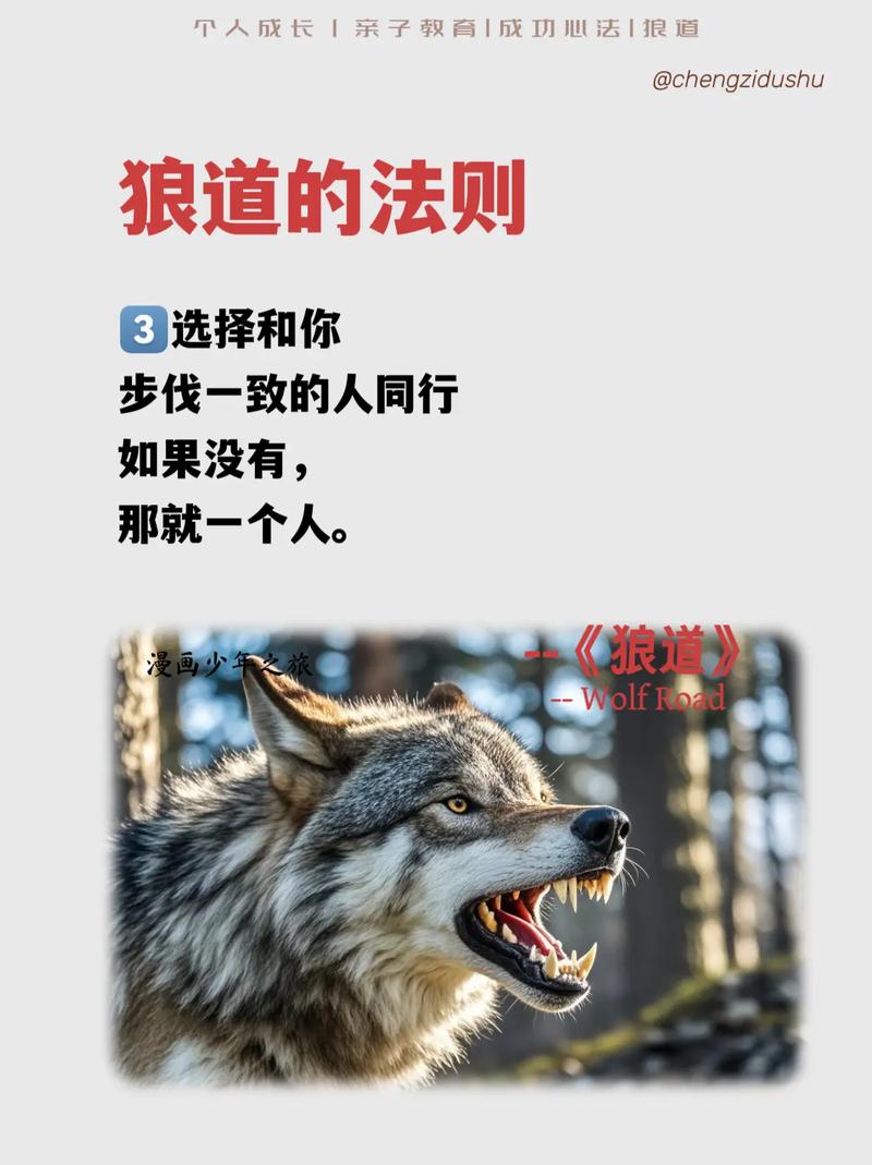 想看百狼不用愁！这几种方法让你轻松找到资源！