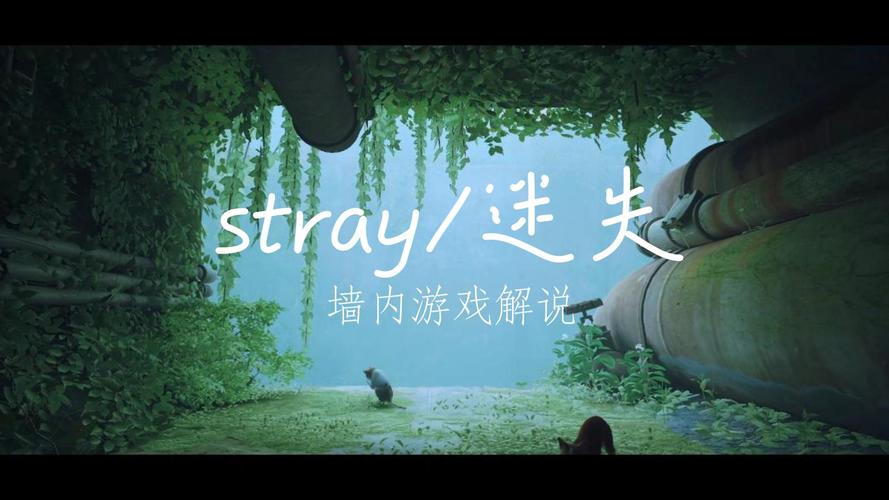 迷失stray怎么玩？超简单全流程通关攻略！