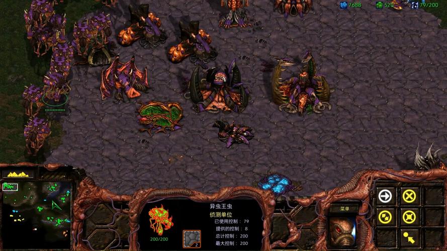 星际争霸1.16秘籍有哪些？这些你一定不能错过！