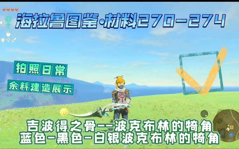想玩转海拉鲁？这些小技巧你一定要知道！