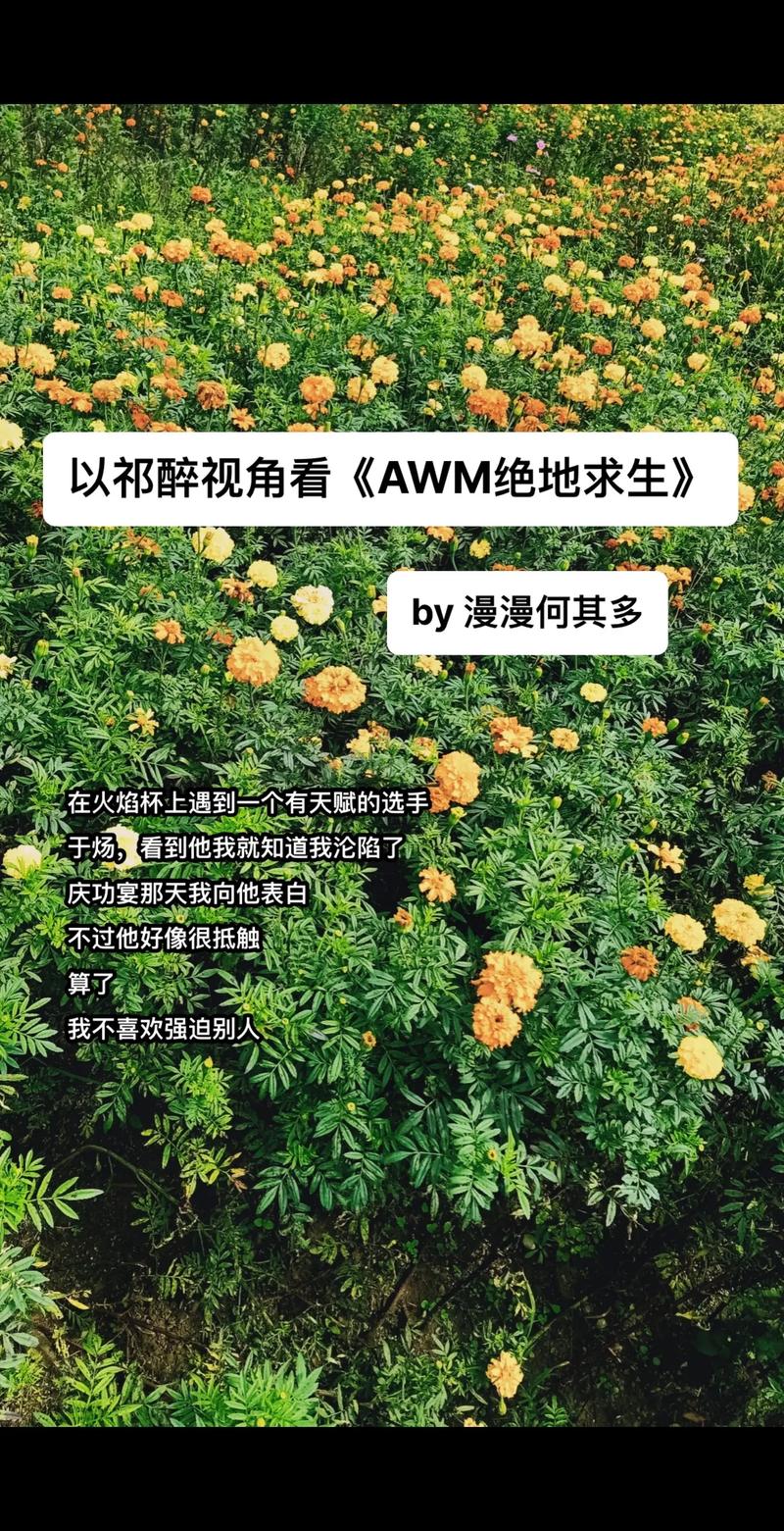 awm-red和awm有什么区别？看完这篇你就懂了！
