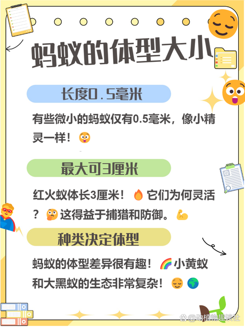 想玩蚂蚁世界？这些常见问题解答你一定需要！