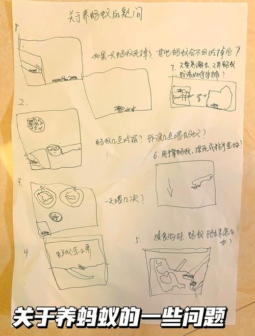 想玩蚂蚁世界？这些常见问题解答你一定需要！
