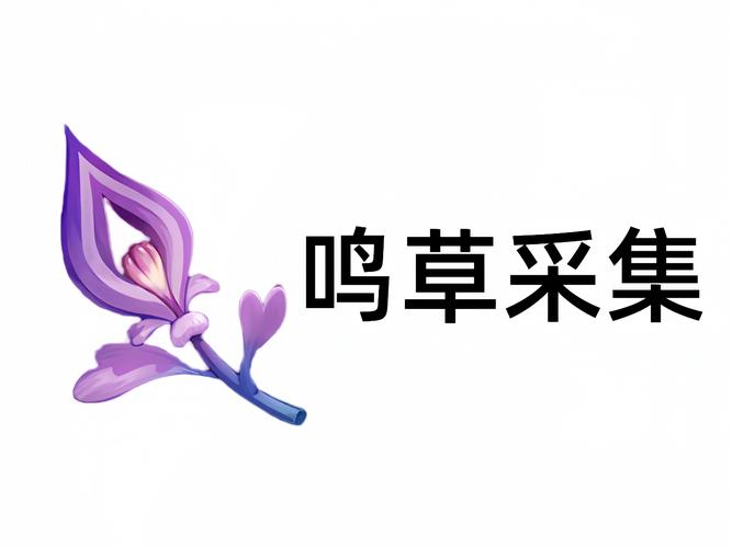 鸣草在哪里买？鸣草购买地点和价格看这里！