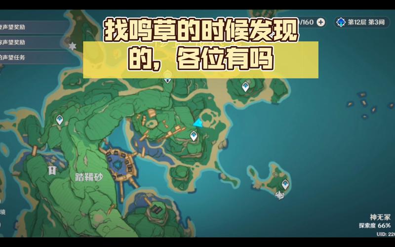 鸣草在哪里买？鸣草购买地点和价格看这里！
