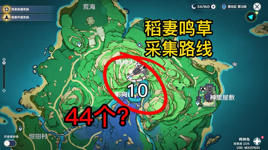 鸣草在哪里买？鸣草购买地点和价格看这里！