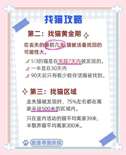 寻找小狸子难不难？其实掌握技巧就能轻松通关！