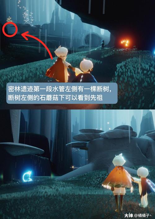 雨林先祖位置好难找！教你几个小技巧轻松找到！