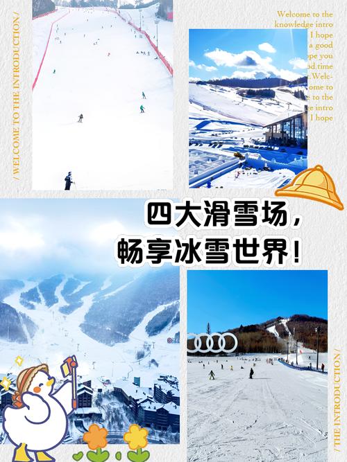 滑雪游戏排行榜来了！看看哪款是你的菜？