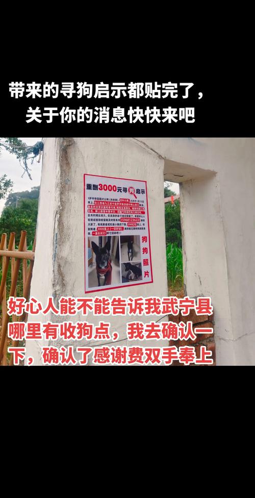 寻找小狸子太难了！这几个地点你绝对想不到！