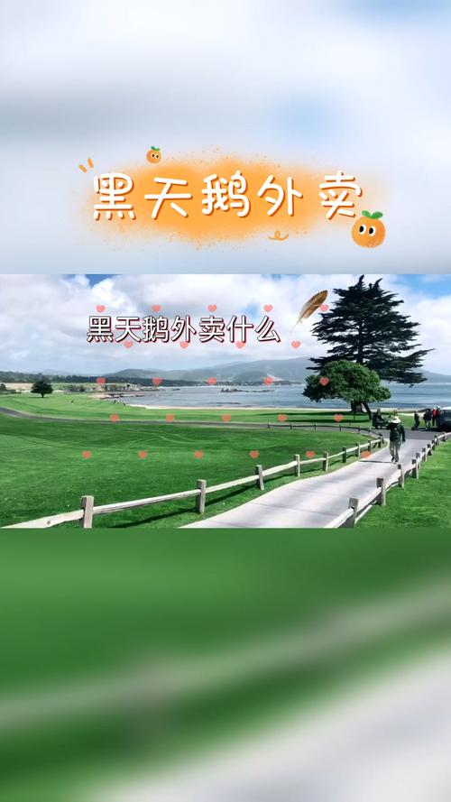 黑天鹅外卖点餐攻略：如何快速找到你想要的美食？