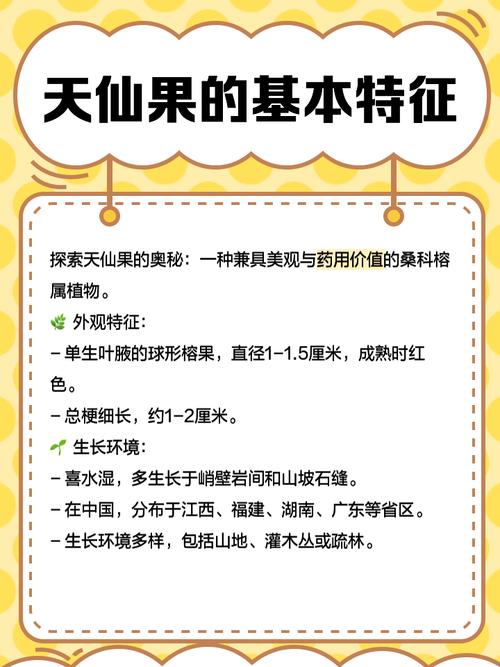 神仙道天魔果有什么用？详解天魔果的炼丹、修炼及妙药疗法用途