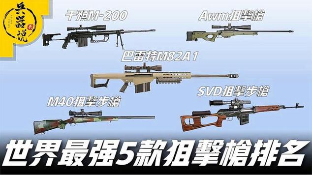 狙击枪排名及优缺点分析：选购指南