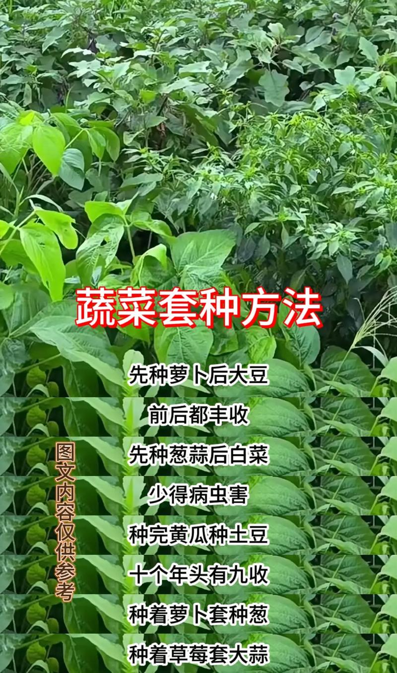 现在农场种蔬菜赚钱靠谱吗？看完这篇你就懂了！