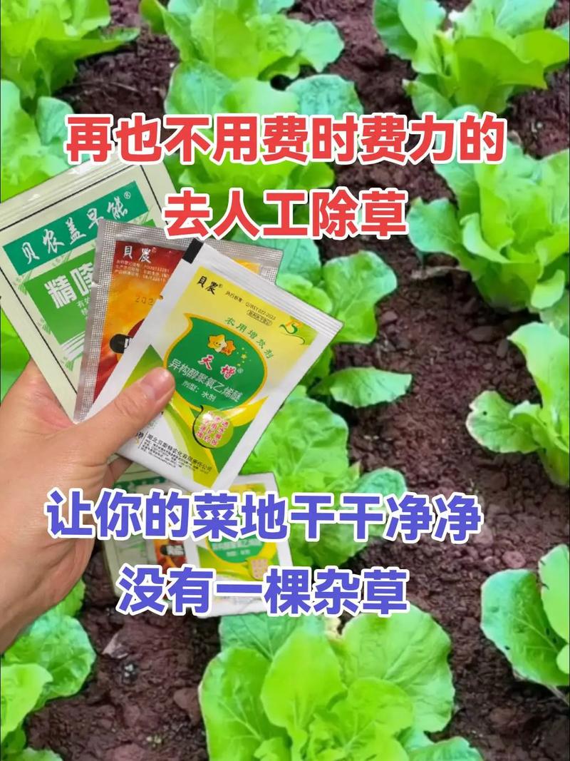 现在农场种蔬菜赚钱靠谱吗？看完这篇你就懂了！
