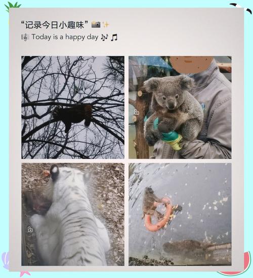 想玩网游但钱包瘪瘪？这些免费游戏你必须试试