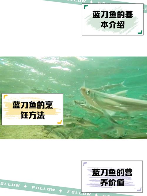 想钓冰鳞蓝鱼？这篇攻略教你快速找到它！