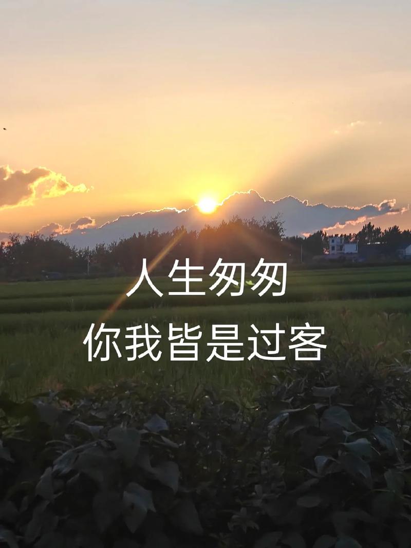 document人生总结：自由选择，创造你的专属人生