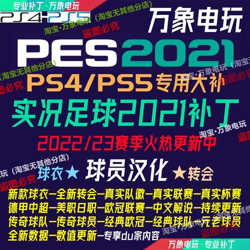 实况2010德甲补丁怎么用？新手安装教程一看就会！