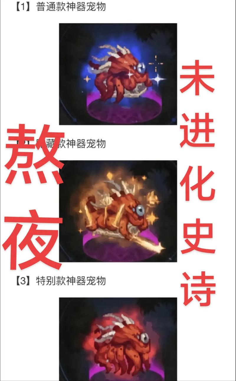 dnf宠物撒共强不强？实战效果详细测评！