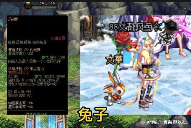 dnf宠物撒共强不强？实战效果详细测评！