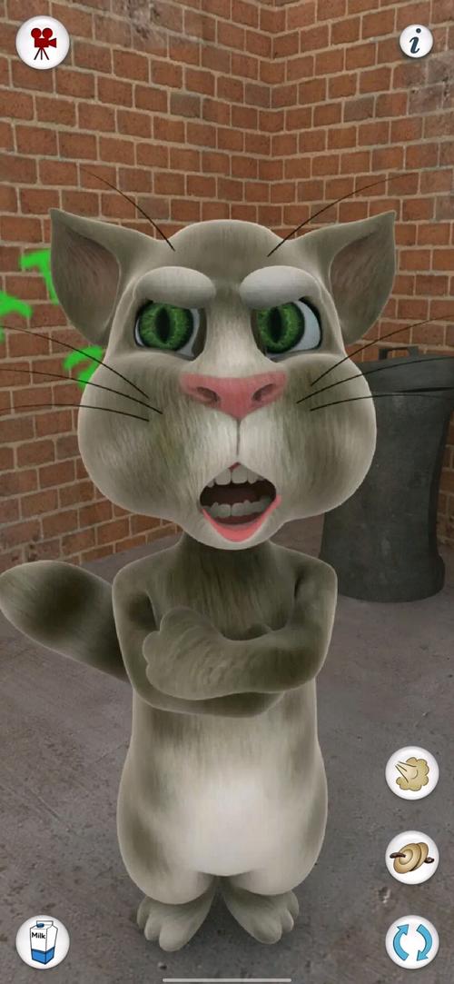 想知道会说话的汤姆猫怎么玩？这篇攻略帮你快速上手