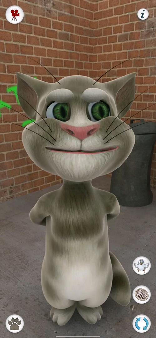 想知道会说话的汤姆猫怎么玩？这篇攻略帮你快速上手