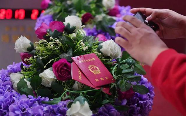 我国结婚证上的花是什么花？原来是它！
