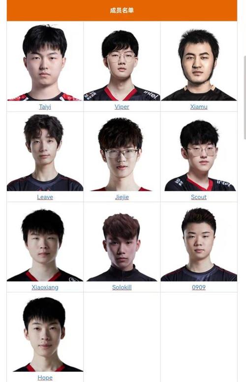 lpl2015参赛队伍有哪些？选手阵容全面分析！