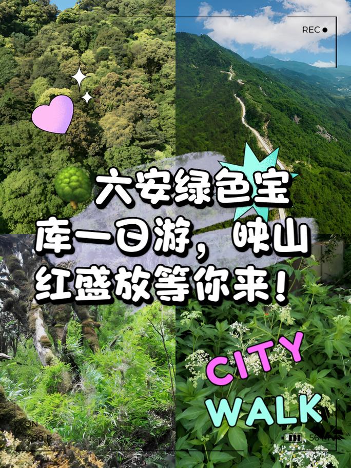 逗游游戏宝库：海量单机网游，绿色安全等你来！