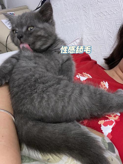 网红“宠物女”引热议，她们究竟在想什么？